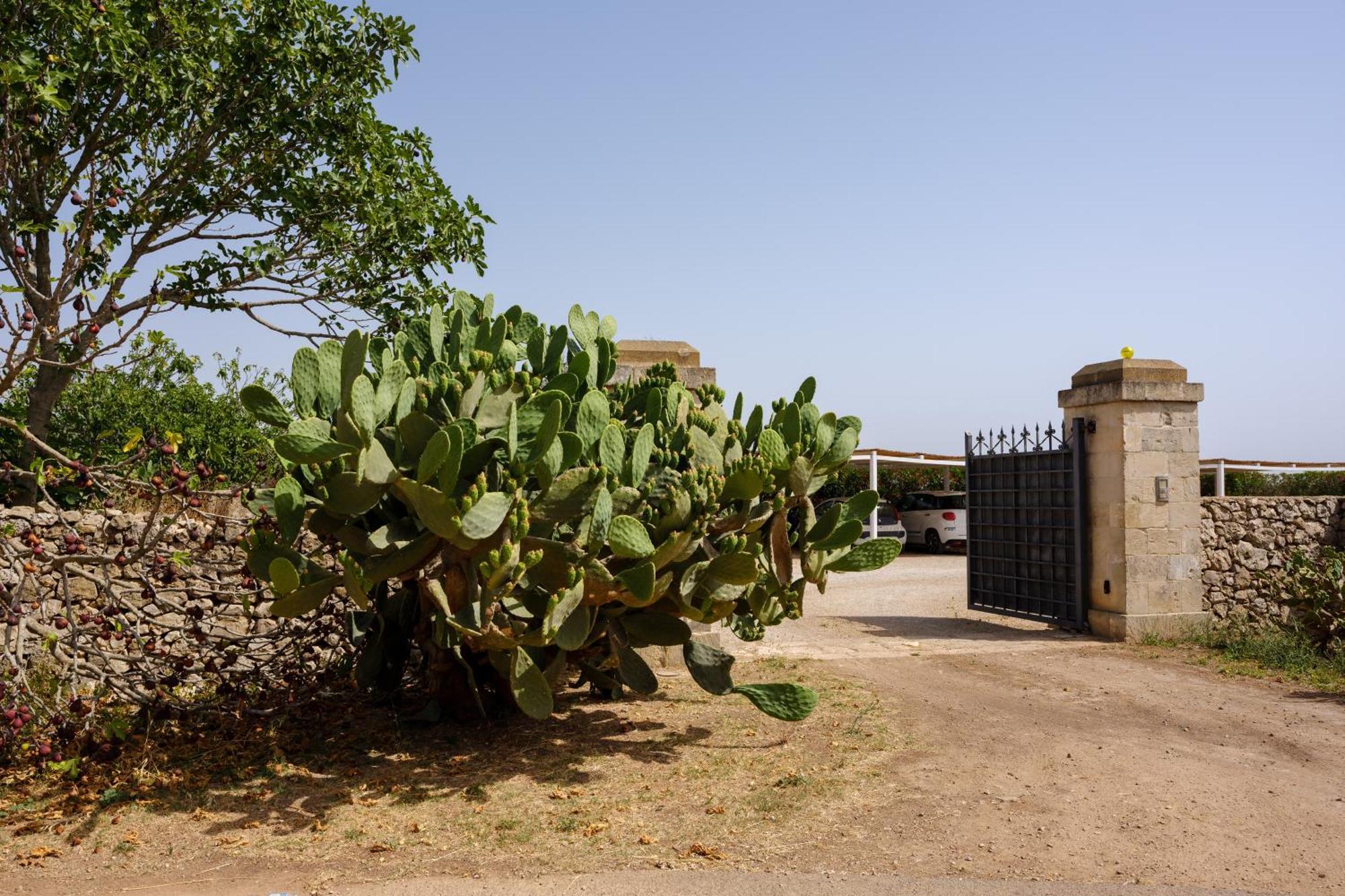 Nardò Masseria Bernardini By Symphonya Luxury Rentals מראה חיצוני תמונה